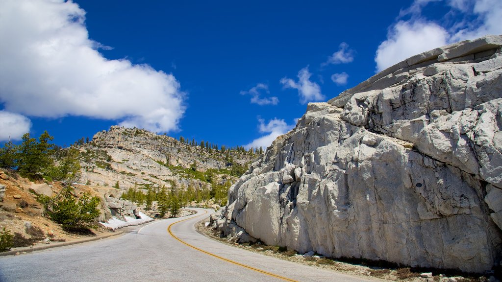 Olmsted Point montrant paysages paisibles