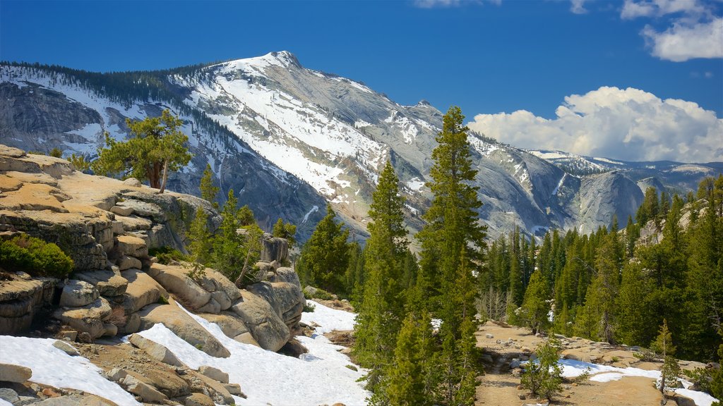 Olmsted Point featuring landscape views, mountains and forest scenes