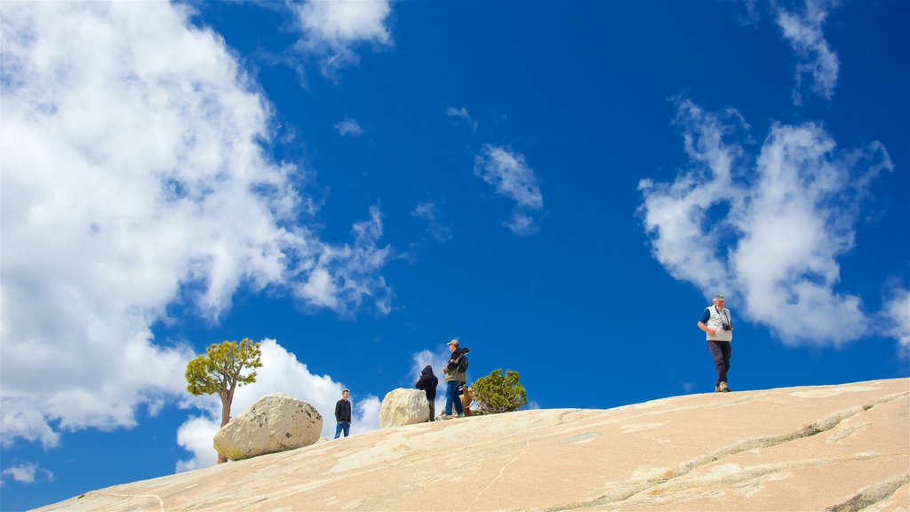 Olmsted Point showing tranquil scenes as well as a small group of people