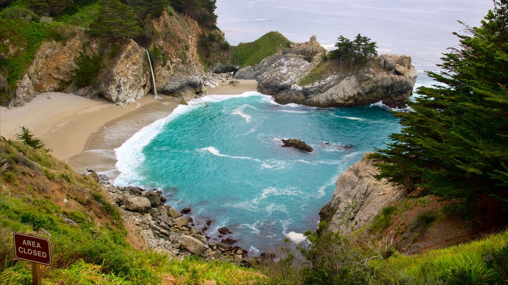 McWay Falls which includes a bay or harbor