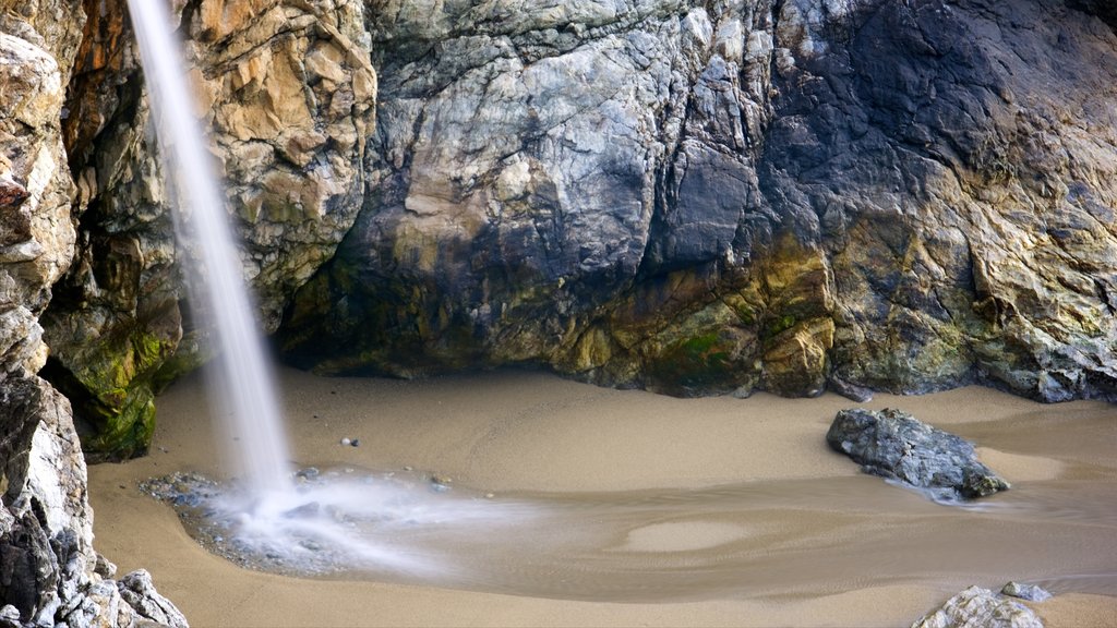 McWay Falls featuring a waterfall and a beach