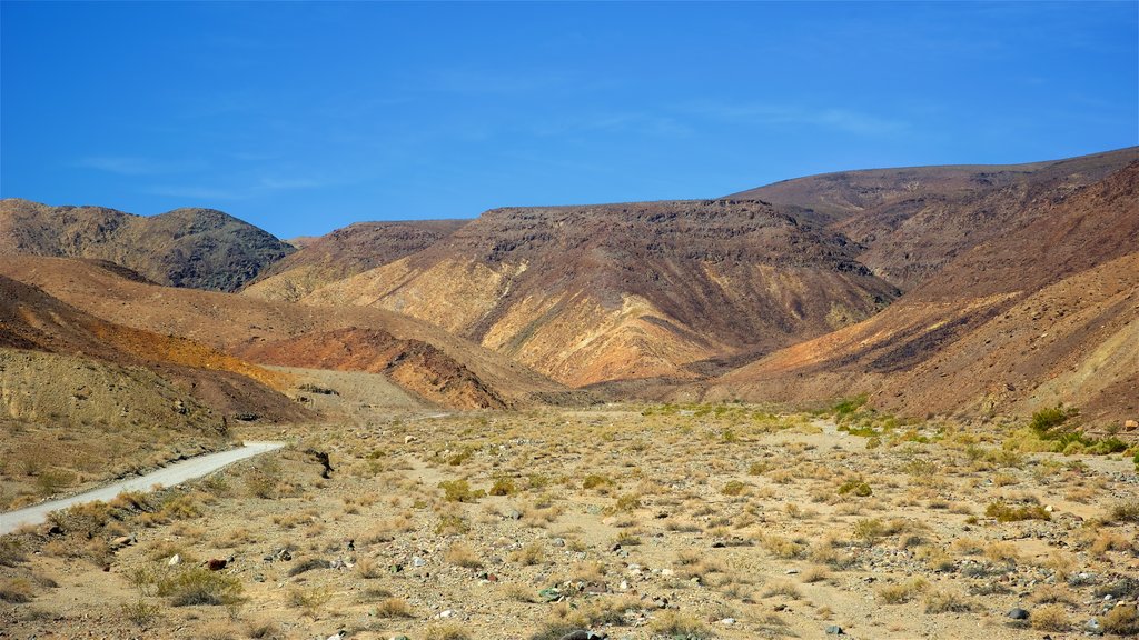 Death Valley showing a gorge or canyon, tranquil scenes and desert views