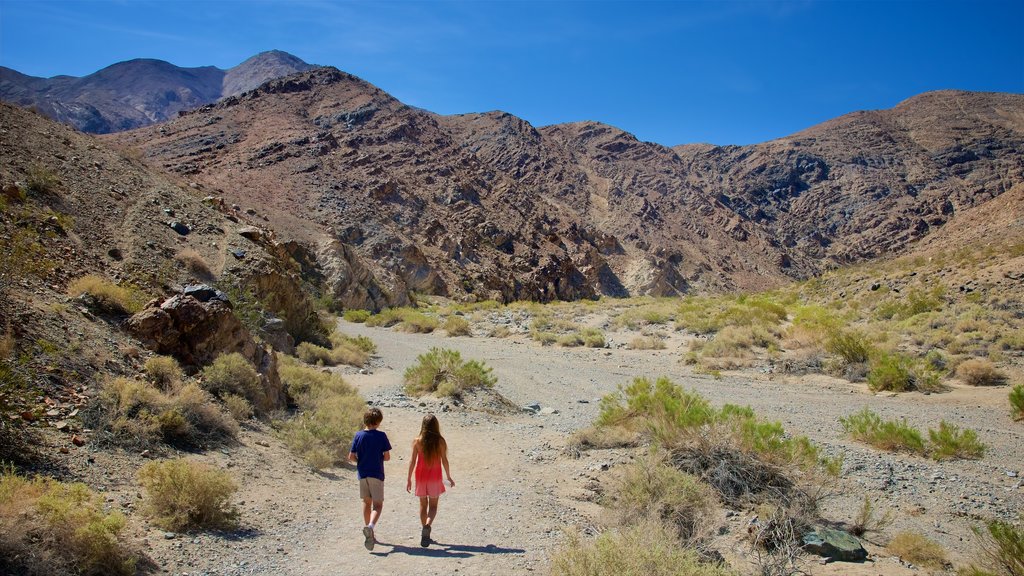 Darwin Falls which includes desert views and mountains as well as children