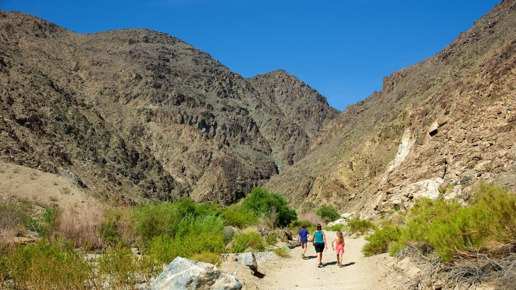 Death Valley featuring a gorge or canyon and hiking or walking as well as a family