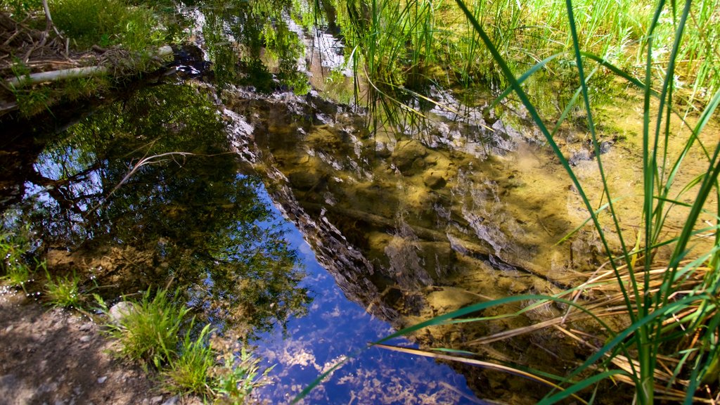 Valle de la Muerte ofreciendo un río o arroyo