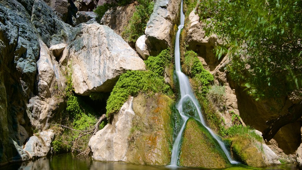 Death Valley showing a cascade