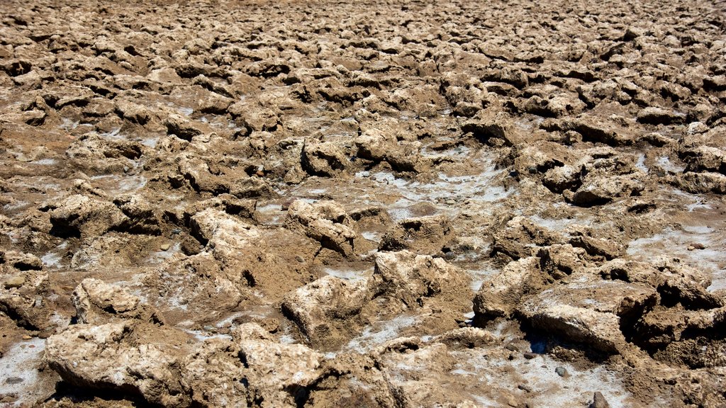 Death Valley fasiliteter samt ørkenutsikt