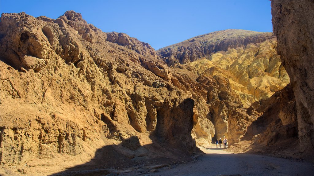 Valle de la Muerte que incluye un barranco o cañón