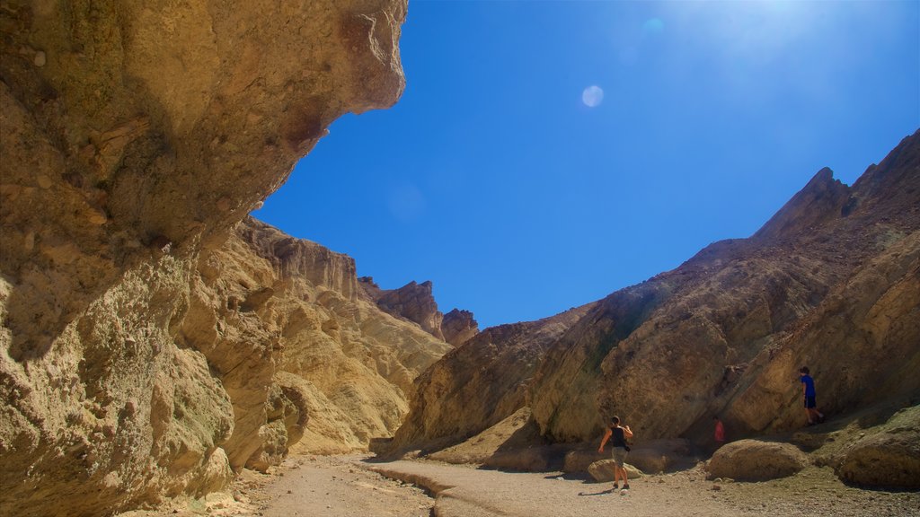 Golden Canyon which includes a gorge or canyon and hiking or walking as well as an individual female