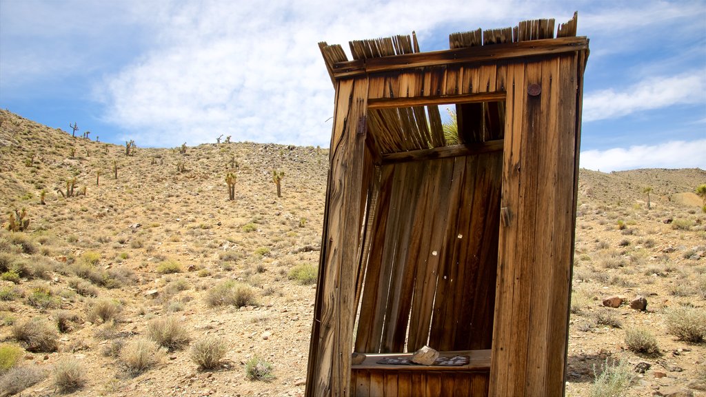 Valle de la Muerte mostrando elementos del patrimonio y vistas al desierto