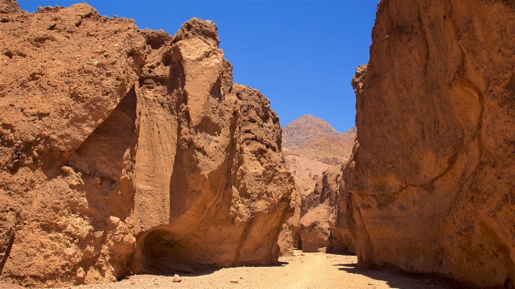 Cañón Natural Bridge mostrando vistas al desierto y un barranco o cañón