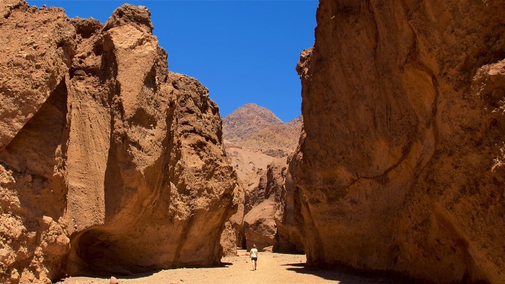 Natural Bridge Canyon showing hiking or walking, a gorge or canyon and desert views