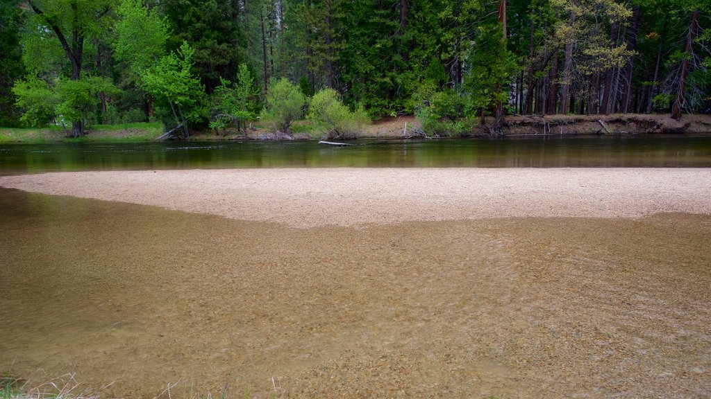 Yosemite National Park which includes a river or creek