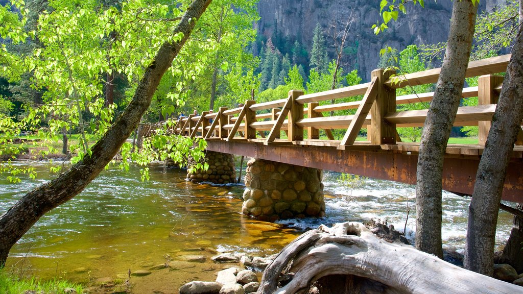 Yosemite nasjonalpark som viser elv eller bekk og bro