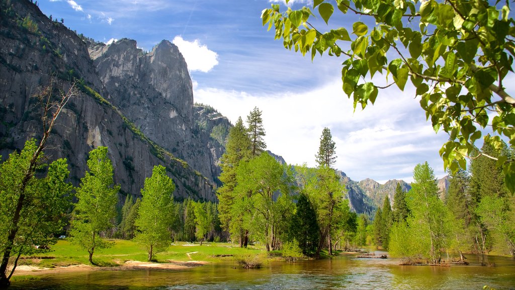 Cook\'s Meadow which includes mountains and a river or creek