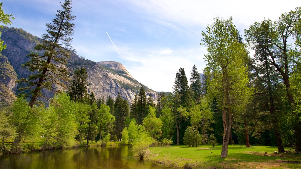 Yosemite National Park which includes a river or creek, tranquil scenes and mountains