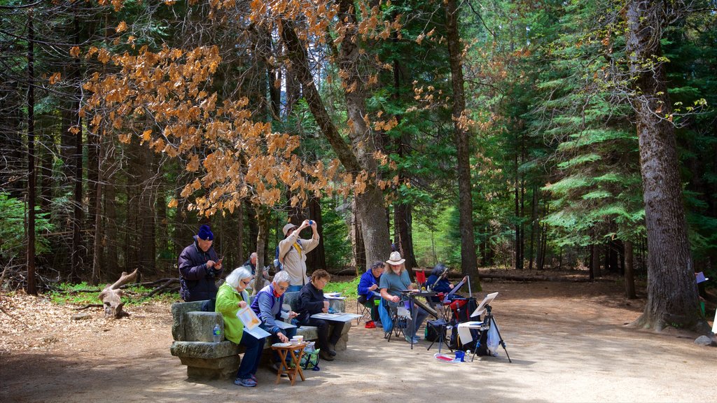 Lower Yosemite Falls som visar skogar och picknick såväl som en liten grupp av människor