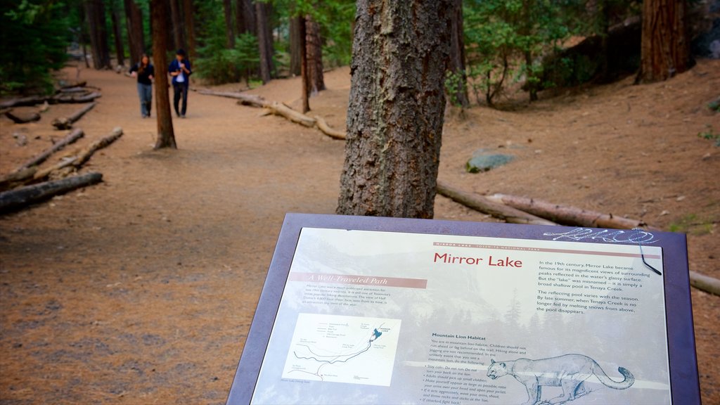 Parque Nacional Yosemite que incluye señalización y bosques