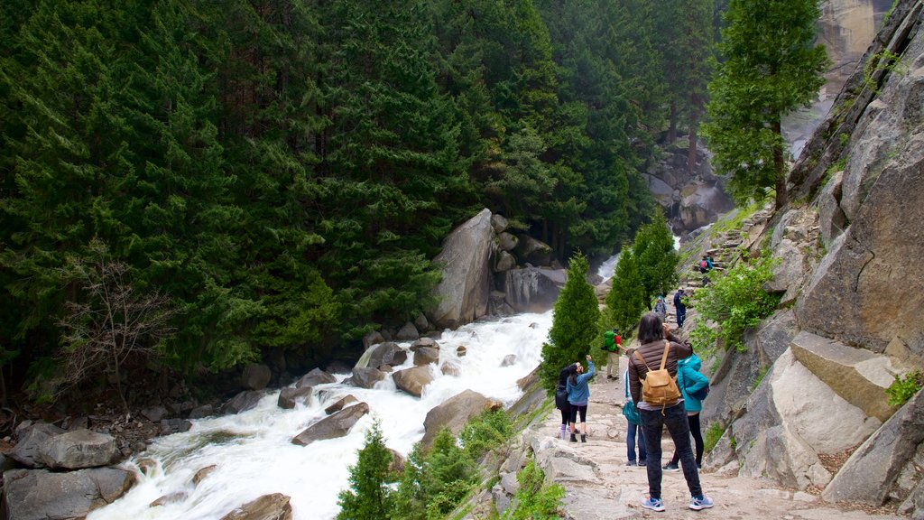 Mist Trail ofreciendo rápidos, un río o arroyo y caminatas