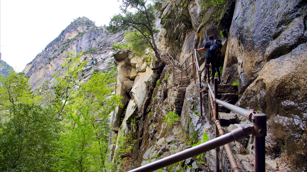 Yosemite National Park mostrando escalada ou caminhada assim como um homem sozinho