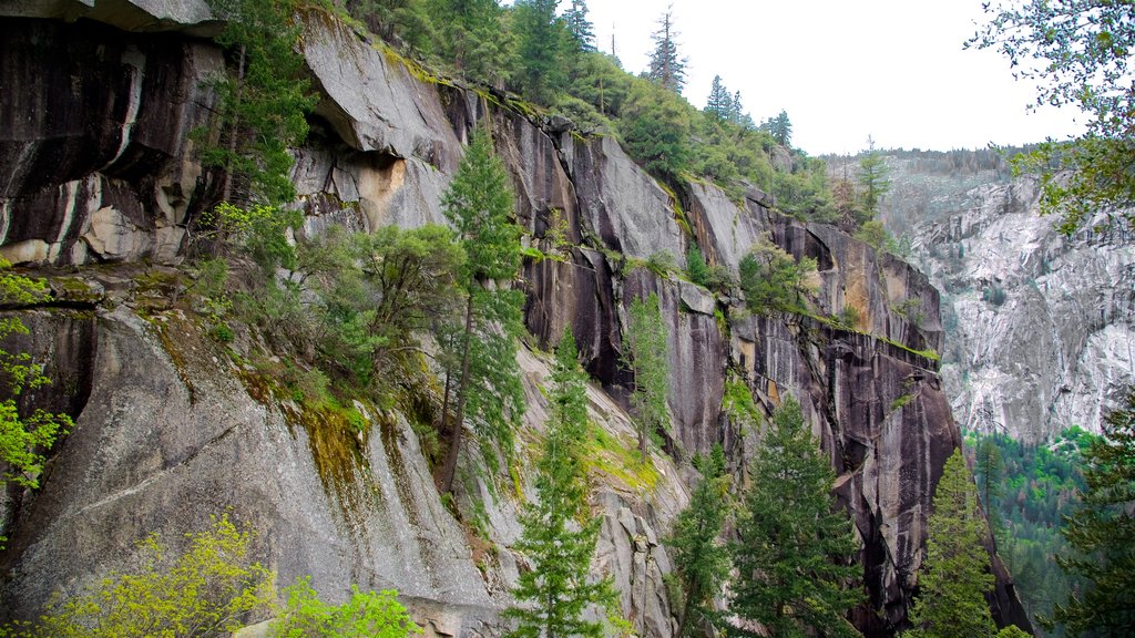 Yosemite National Park featuring tranquil scenes and mountains