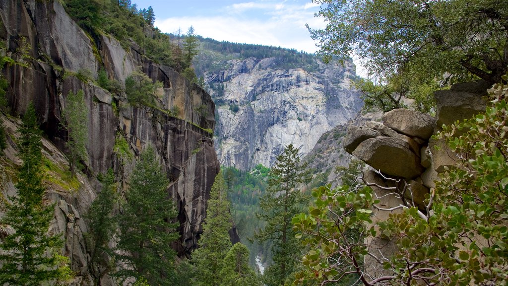 Yosemite National Park og byder på bjerge og fredfyldte omgivelser