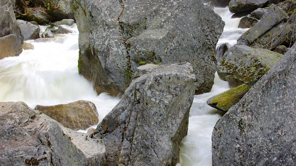 Yosemite National Park showing rapids