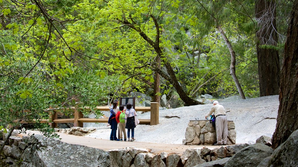 Yosemite National Park som omfatter vandring eller gåture såvel som en lille gruppe mennesker