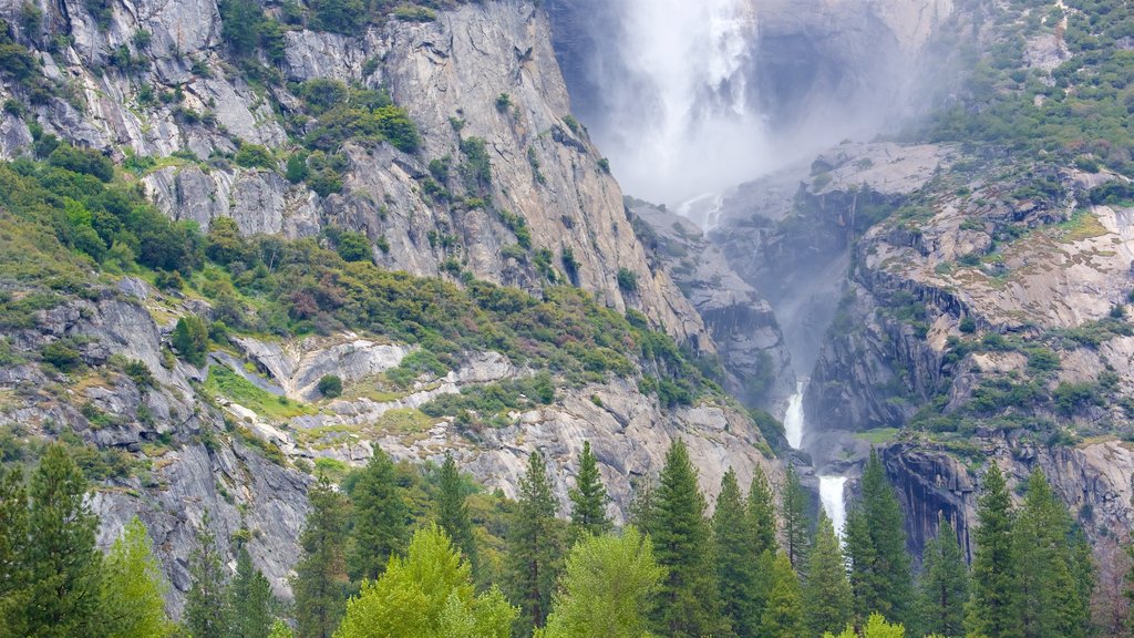 Parque Nacional Yosemite ofreciendo una catarata y escenas tranquilas