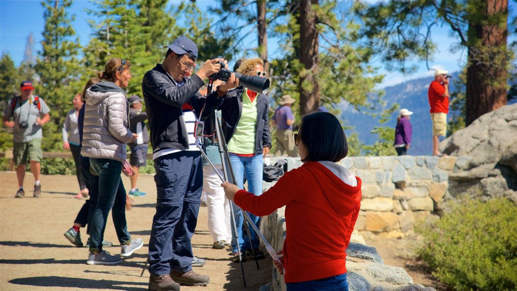 Yosemite National Park showing views as well as a small group of people