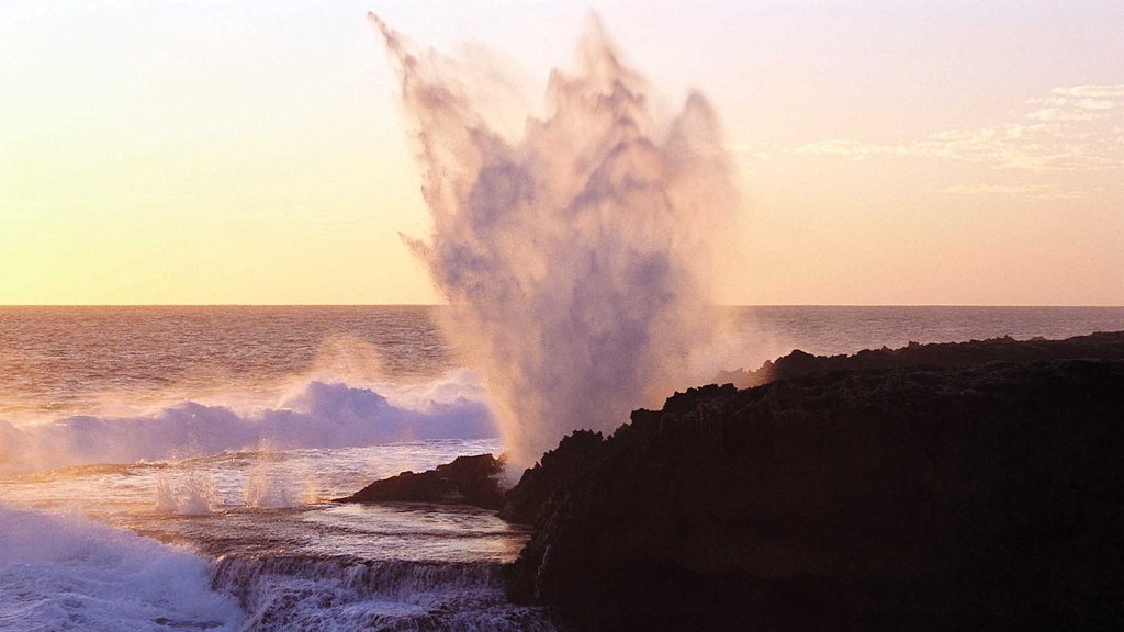 Coral Coast showing rocky coastline and waves