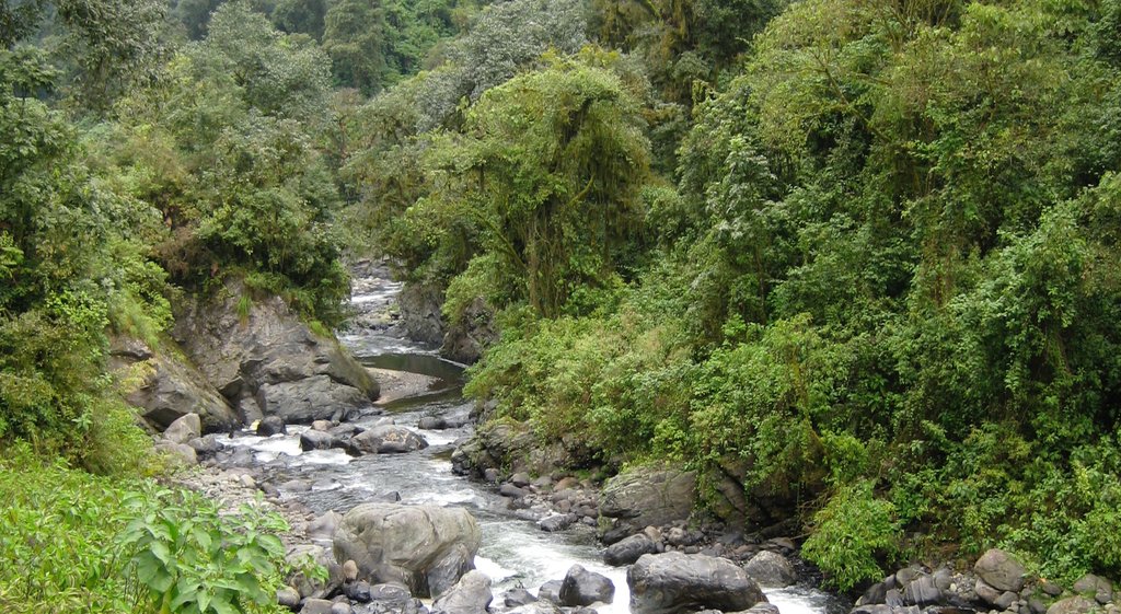 Tafi del Valle toont bos en een rivier of beek