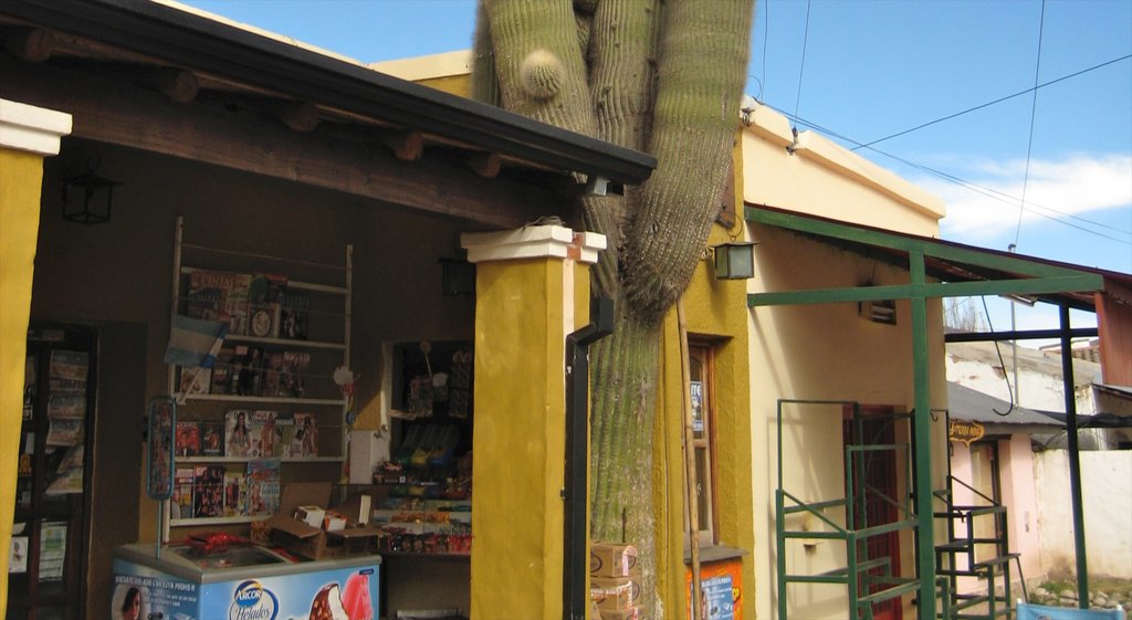 Tafi del Valle showing street scenes