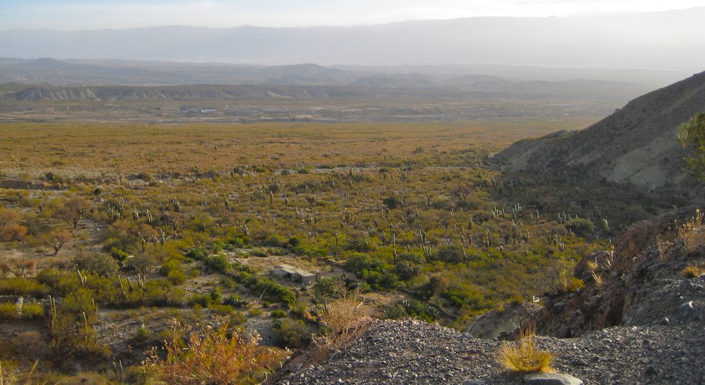 Tafi del Valle featuring mist or fog and tranquil scenes