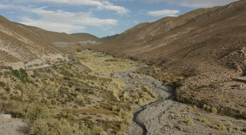 Tafi del Valle mostrando escenas tranquilas