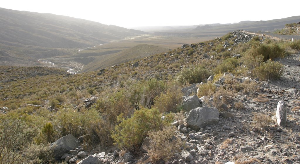 Tafí del Valle mostrando cenas tranquilas