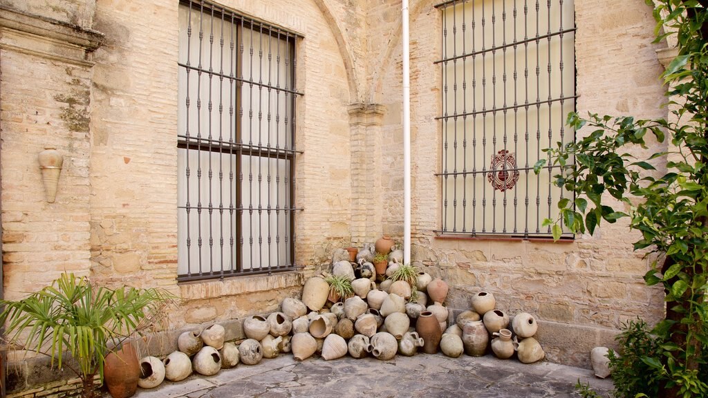 Jerez Cathedral showing a house