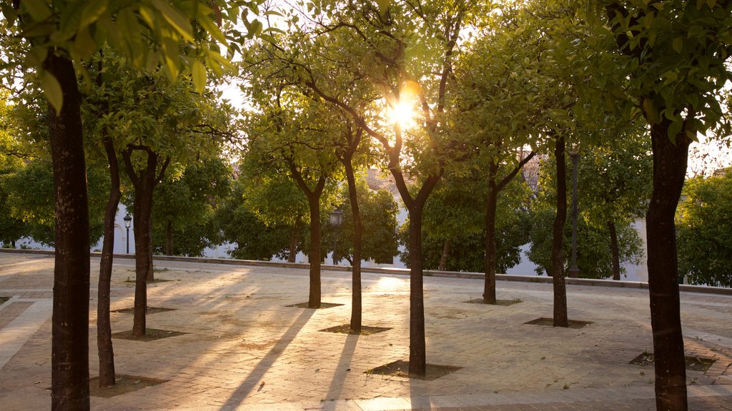 Alcazar Gardens which includes a park