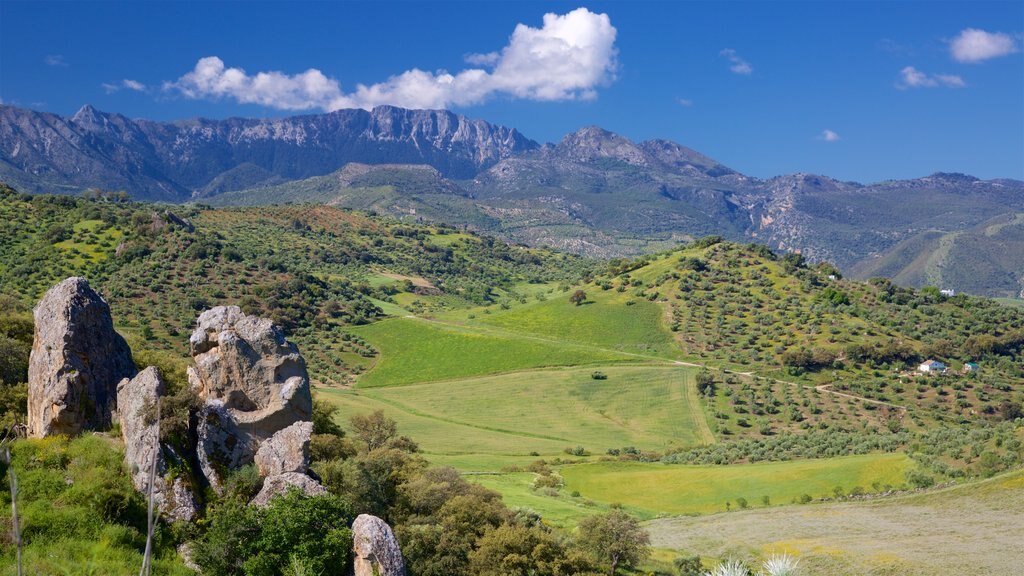 Andaluzia mostrando montanhas, fazenda e paisagem