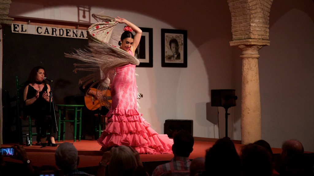 Córdoba que inclui vistas internas e arte performática assim como uma mulher sozinha