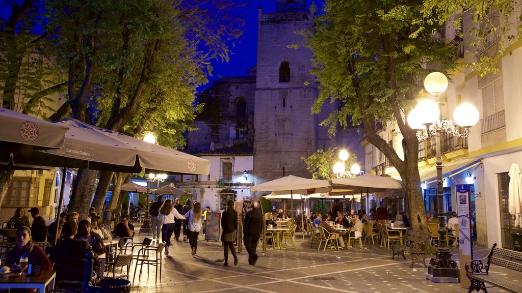 Jerez de la Frontera mostrando escenas de noche, una plaza y restaurantes