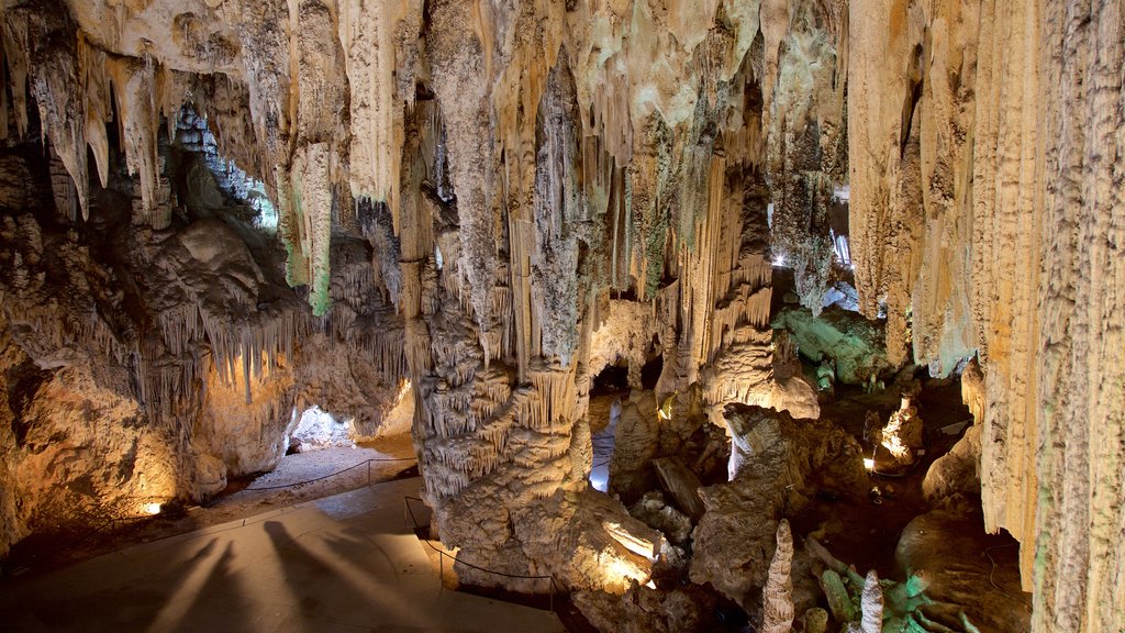 Cavernas de Nerja mostrando cavernas