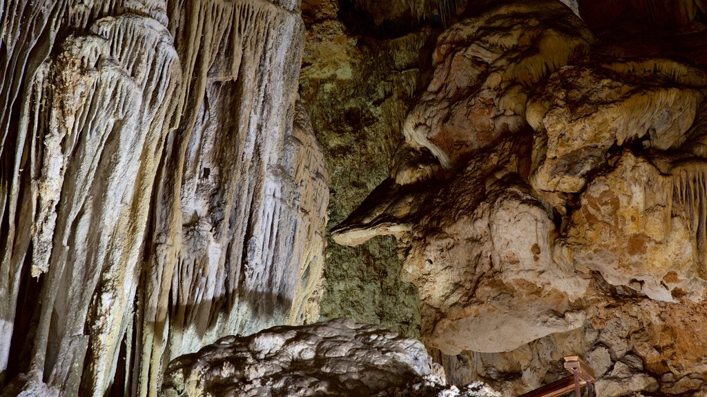 Nerja Caves showing caves