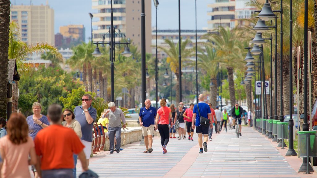 Los Alamos Beach showing street scenes as well as a large group of people