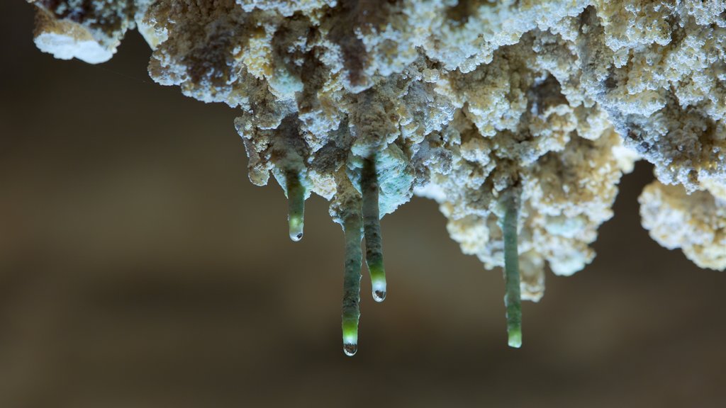 Cavernas de Nerja que inclui cavernas