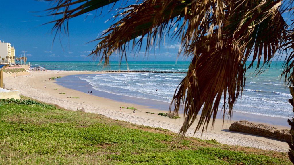 Playa de la Victoria menampilkan pantai berpasir dan pemandangan umum pantai