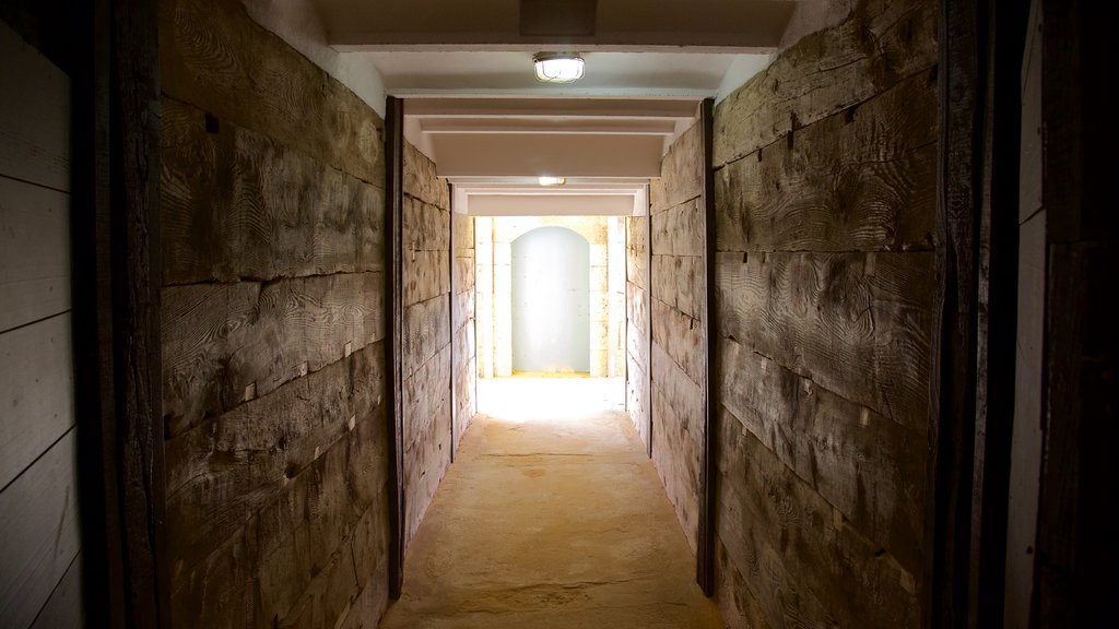 Plaza de Toros showing interior views