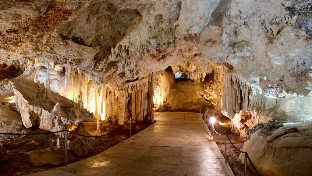 Grottes de Nerja mettant en vedette grottes