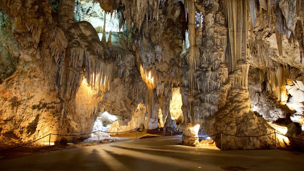 Cuevas de Nerja mostrando cuevas