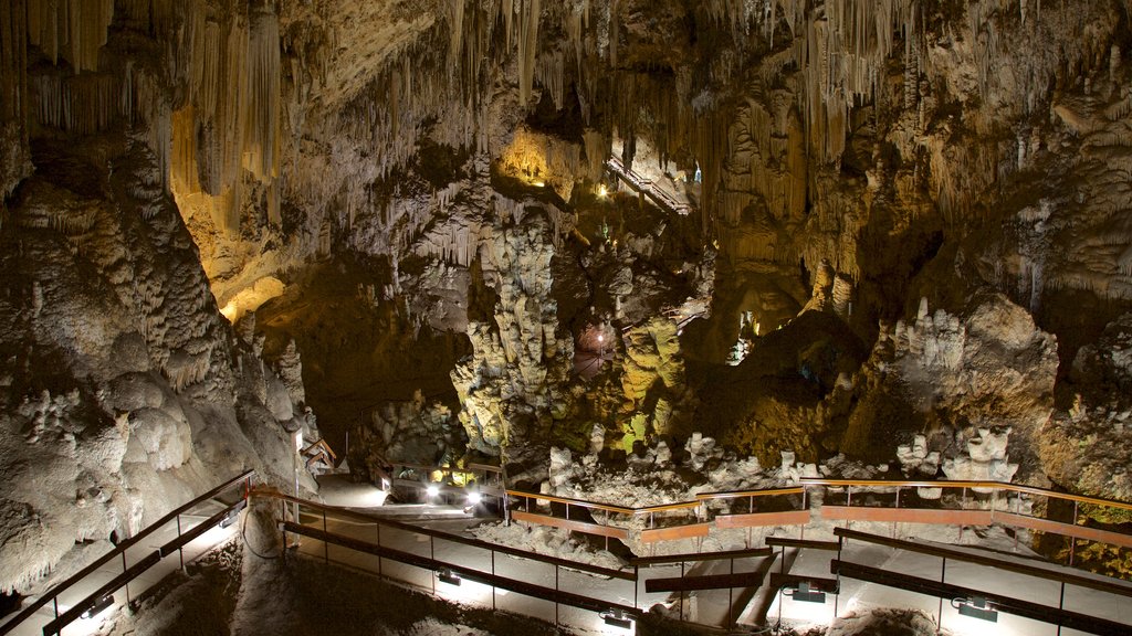 Nerja Caves showing caves